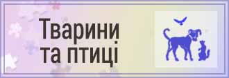 Puzzle Givotniy Mir UA