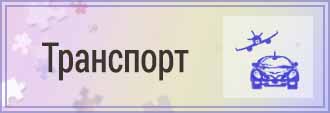 Puzzle Transport UA